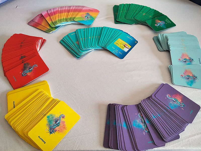 img4 boite jeu de l hippocampe img4 boite jeu de l hippocampe